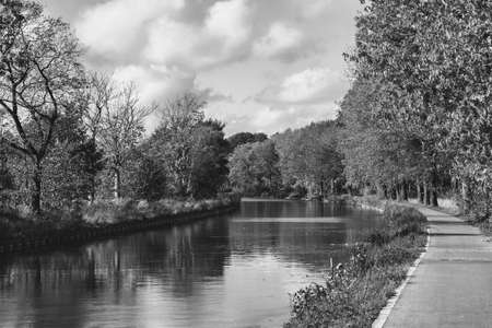 Autumn landscape on the river. Trees by the river in black and white. High quality monochrome photoの写真素材
