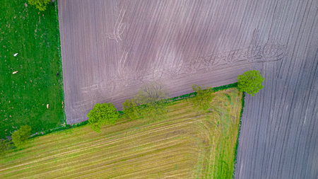 Beautiful natural Patterns of Farmfields in Countryside at Summer. Drone Aerial View, birds eye...