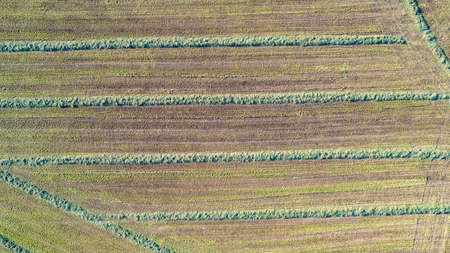 Aerial view geometric farming fields, showing a green meadow and plowed fields, captured with a...