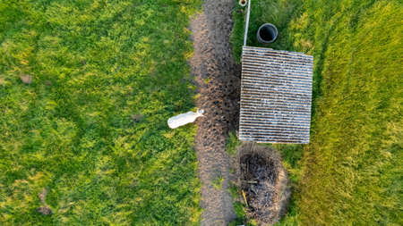 Aerial view of Cattle cows in the grass near a shed in a meadow taken with a drone. High quality photoの写真素材
