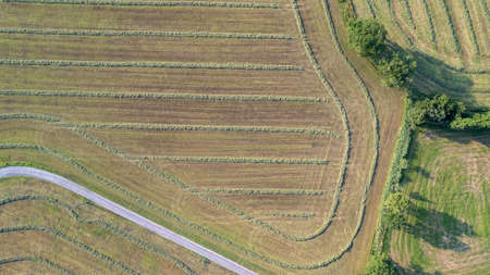 Aerial view geometric farming fields, showing a green meadow and plowed fields, captured with a...