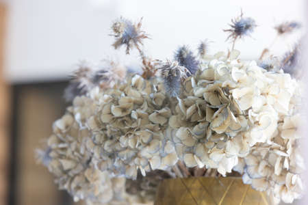A beautiful multi-colored bouquet of hydrangeas on the table. Home comfort. High quality photoの写真素材