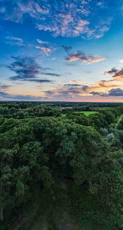 Picturesque panoramic aerial landscape of s golden autumn forest. Mighty trees, soft sunlight. Nature, ecology. ecotourism, hiking, environmental conservation. High quality photoの写真素材