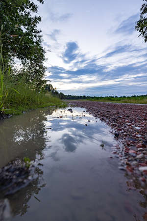 A long straight mud road in the forest. High quality photoの写真素材