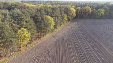 Aerial Drone Shot: Beautiful Agricultural Plantations Bordering with Wild Forests in Belgium,...