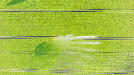 Aerial view by a drone of a potato field being irrigated by a gigantic and powerful irrigation...