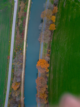 Top view of dark autumnforest landscape wallpaper art. Aerial nature scene of pine trees and road banner design. Countryside path trough coniferous wood form above. Adventure travel background. High quality photoの写真素材