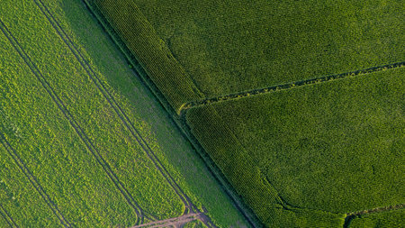 Colorful patterns in crop fields at farmland, aerial view, drone photo. Abstract geometric shapes of...