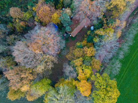 Aerial Drone Photo Looking Down on an Autumn Forest with Multi Colored Fall Trees in Europe. High quality photoの写真素材