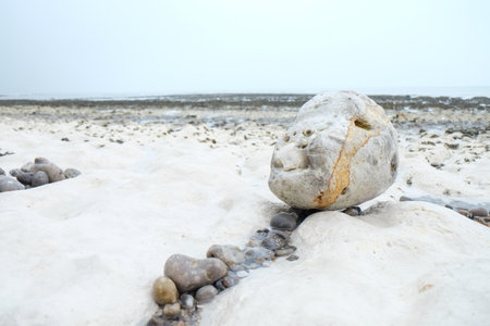 Beautiful seashore vacation on nature landscape background. High quality photoの写真素材
