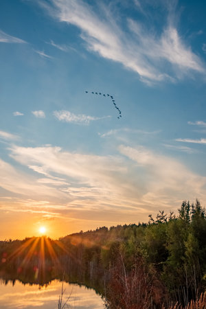 Beautiful landscape with colorful sunset over forest lake, Epic red and golden clouds above the forest lake at sunrise. Dramatic cloudscape. Symmetry reflections on the water, natural mirror. Idyllic rural scene. High quality photoの写真素材