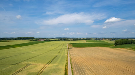 Nature and landscape, an Aerial view of a field, cultivation, green grass, countryside, farming,...