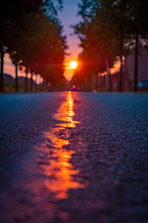 This picturesque scene features the sun rising over an open asphalt road, set in the European countryside. The image perfectly captures the tranquil beauty of a sunny morning or evening, reflecting the serenity of summer or autumn seasons. Sunrise Serenade: Open Road in European Countryside. High quality photoの写真素材
