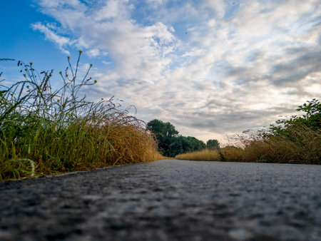 This image offers a unique low-angle view of a countryside road, leading the eye straight to the horizon beneath a dramatic sky scattered with clouds. The textured surface of the road provides a strong visual leading line, flanked by wild grasses and the hint of fields beyond. The perspective gives a sense of journey and movement, while the sky above suggests vast possibilities and the freedom of open spaces. Road to the Skies: Low Perspective of a Countryside Path. High quality photoの写真素材