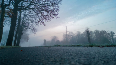 This image offers a ground-level view of a country road at dawn, shrouded in a gentle mist that softens the landscape. The sun, diffused by the fog, creates a subtle luminescence that gives the scene an ethereal quality. Bare trees line the road, their silhouettes adding to the mystique of the early morning. The perspective draws the viewers eye along the road, leading into the unknown, while the cool tones of the pavement and the warm hues of the sunrise create a harmonious balance. It is a moment of tranquility and solitude, inviting contemplation. Misty Dawn on a Country Road. High quality photoの写真素材