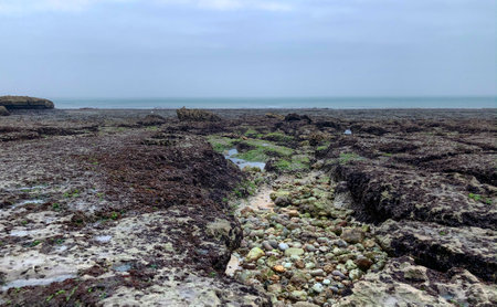The image captures the rugged beauty of a tidal rock pool landscape at low tide. Seaweed-covered...
