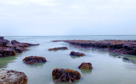 The image portrays the subtle beauty of tidal pools nestled among rocky outcrops on a calm coastal...