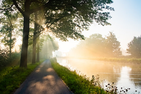 This serene image captures the beauty of a misty morning along a quiet country road running parallel...