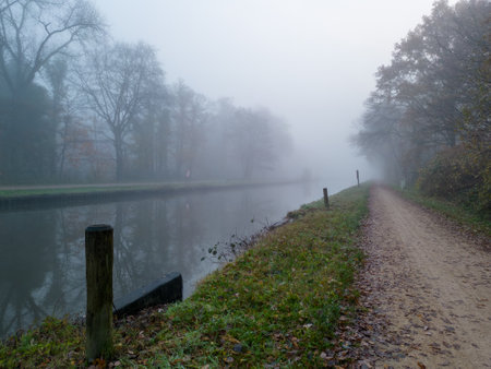 This image exudes the quiet stillness of an early misty morning by a canal. Leafless trees reflect on the still water surface, their forms slightly obscured by the fog. A dirt path runs alongside the canal, showing signs of foot traffic. The mist suggests the chill of an autumn or winter morning and lends an ethereal quality to the landscape. The overall mood is one of solitude and introspection, a moment suspended in the soft light and muffled sounds of the foggy environment. Misty Morning by the Canal. High quality photoの写真素材
