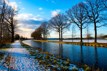 This captivating image showcases a snow covered pathway running alongside a tranquil canal, flanked by majestic, leafless trees against a bright winter sky. The setting sun casts a soft light, creating a vibrant contrast between the blue of the sky and the golden reflection on the waters surface. The snowy path, imprinted with tracks, leads the viewers eye toward the horizon, while the canal offers a parallel journey alongside. The presence of clouds adds a dynamic texture to the sky, complementing the stillness of the canal. Crisp Winter Day by the Canal. High quality photoの写真素材