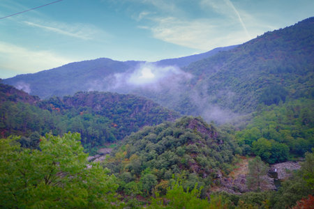 This image captures the serene beauty of a mountain range, with the foreground showcasing a mix of...
