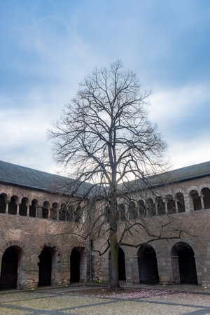 A solitary leafless tree stands tall in the center of a historical stone courtyard, its intricate branches etched against a soft winter sky. The ancient arcades surrounding the tree suggest a monastic or medieval setting, imbued with tranquility and the passage of time. Bare Tree Silhouetted Against Winter Sky in Historical Courtyard. High quality photoの写真素材