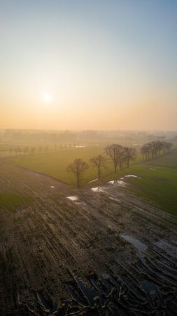 Portrait of a hushed farmland at sunrise, where dew glistens on fields and silhouetted trees stand against the soft dawn light. Sunrise Over a Dewy Farmland: A Portrait of Early Morning Agriculture. High quality photoの写真素材