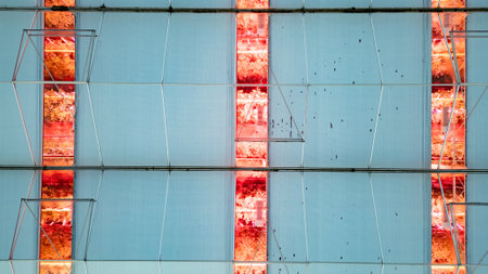 This striking image captures the intersection of technology and horticulture within a futuristic greenhouse. Vivid red LED lights bathe the plant beds, set against the geometric blue panels of the greenhouse structure, creating a tapestry of color and form. Geometric Aesthetics: Glowing Plant Beds in a Futuristic Greenhouse. High quality photoの写真素材