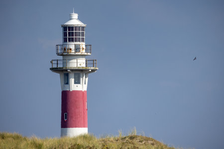 A stunning lighthouse with a red and white design stands proudly against a clear blue sky, creating a picturesque sightの写真素材