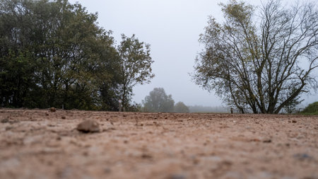 A peaceful and serene, foggy landscape that features textured soil and trees gently fading away into the mistの写真素材