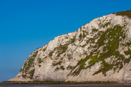 A breathtaking and stunning view of the white cliffs adorned richly with green foliage against a bright blue skyの写真素材