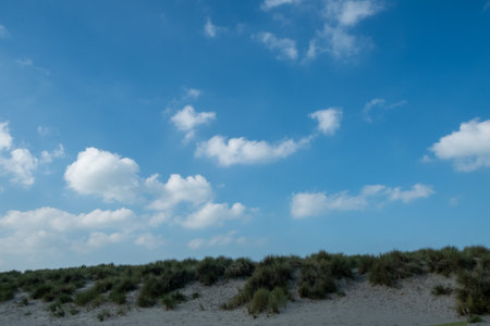 A peaceful coastal scene that showcases sandy dunes, a bright blue sky, and fluffy clouds floating gently above itの写真素材