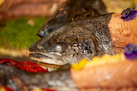 A closeup of fresh fish artfully arranged with vibrant garnishes, showcasing an exquisite gourmet presentationの写真素材