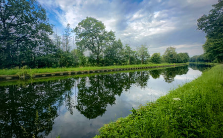 A breathtaking, picturesque view of a calm, serene river winding gently through vibrant trees beneath a cloudy skyの写真素材