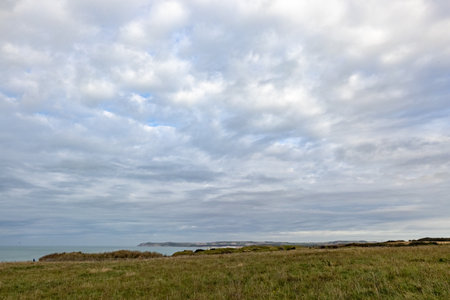 Serene coastal landscape with cloudy sky, grassy shore, and ocean view, creating tranquil atmosphereの写真素材