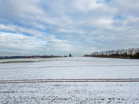 A beautiful, serene winter scene showcasing a snowcovered field alongside numerous wind turbines against a cloudy skyの写真素材