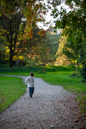 A young child walks joyfully along a picturesque pathway that is surrounded by beautiful autumn leavesの写真素材