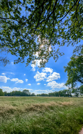 A serene and peaceful countryside scene that showcases lush greenery and a bright blue sky adorned with cloudsの写真素材