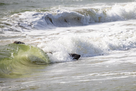 A stunning view of waves crashing onto a serene beach, capturing natures exquisite and aweinspiring beautyの写真素材