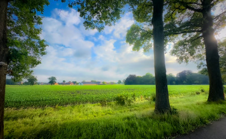 Experience a tranquil and serene view of vibrant fields stretching beneath a beautifully picturesque skyの写真素材