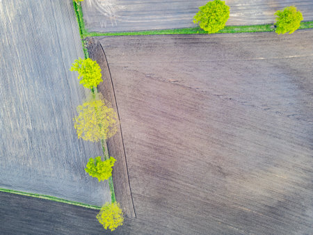 An aerial photograph captures expansive farmland, highlighting green trees and intricate patterns of brown soilの写真素材