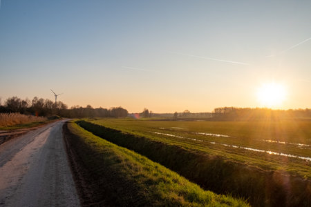 A beautifully serene sunset is illuminating a vibrant lush landscape featuring a winding pathway and wind turbinesの写真素材