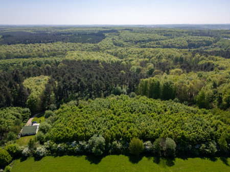 An aerial view beautifully showcases vibrant green forests alongside open fields set beneath a clear blue skyの写真素材