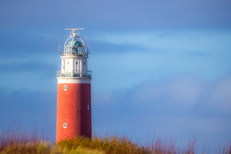 Eierland, De Cocksdorp, Texel, The Netherlands, Oktober 28th, 2024, A majestic lighthouse stands tall and proud against a vibrant sky, encircled by lush green vegetation all aroundの写真素材