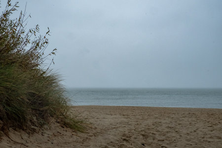 A serene beach with gentle waves on the shore under a cloudy sky, showcasing natures tranquil beautyの写真素材