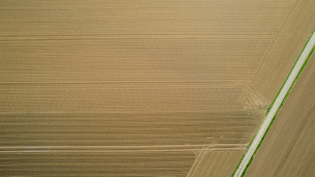 Aerial views of picturesque agricultural fields showcase their beautiful and unique patterns when observed from aboveの写真素材