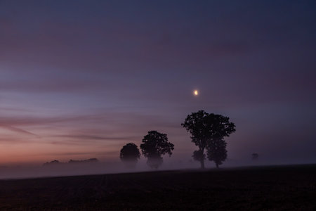 A serene and misty landscape at dawn showcasing lush trees and a glowing moon illuminating the sceneの写真素材
