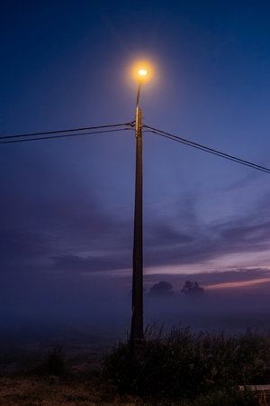 A solitary streetlamp softly illuminates the foggy landscape at twilight, beautifully creating an atmospheric sceneの写真素材