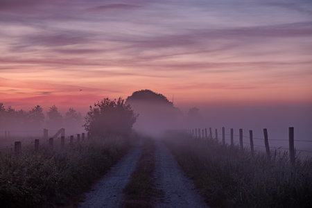 A misty pathway in vibrant nature, illuminated by sunrise, evokes calm and introspection as one walks throughの写真素材
