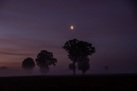 A beautifully serene misty landscape at twilight showcasing silhouetted trees and a glowing full moonの写真素材